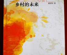 董進智：《藝術化：鄉(xiāng)村的未來》